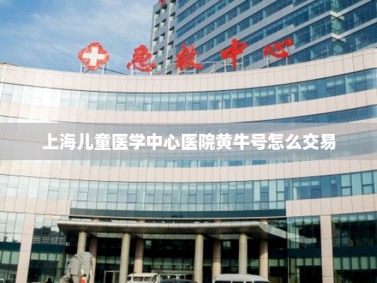 上海儿童医学中心医院黄牛号怎么交易AND快闪13项“携手构建网络空间命运共同体精品案例”发布