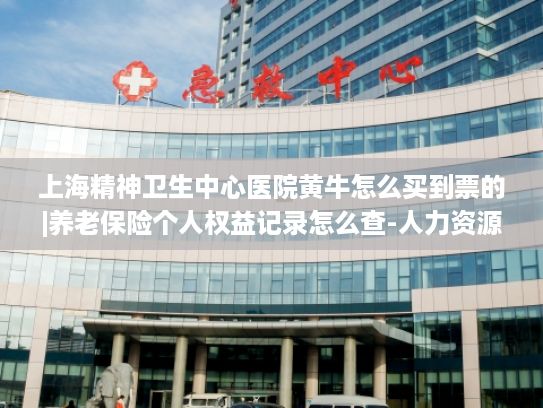 上海精神卫生中心医院黄牛怎么买到票的|养老保险个人权益记录怎么查-人力资源和社会保障部解答