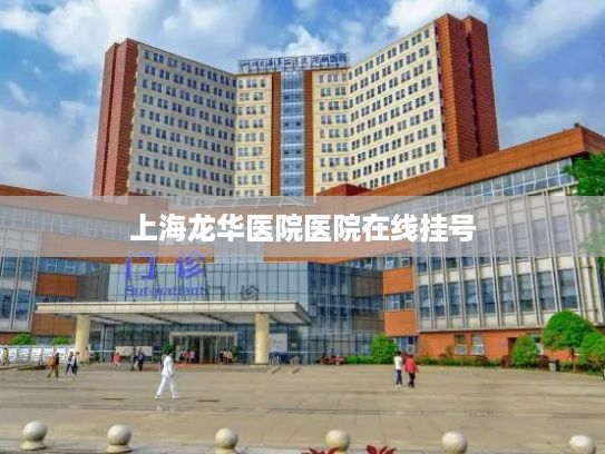 上海龙华医院医院在线挂号?飞行汽车从科幻走近现实低空经济驶入发展“快车道”