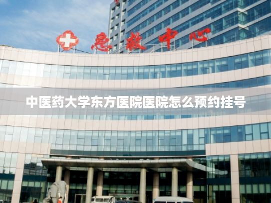 中医药大学东方医院医院怎么预约挂号?AI数字替身踏入时尚业