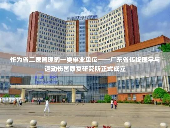 作为省二医管理的一类事业单位——广东省传统医学与运动伤害康复研究所正式成立