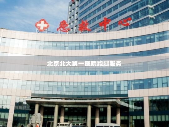 北京北大第一医院跑腿服务