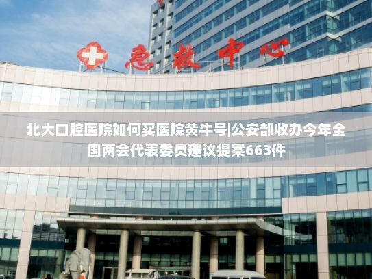 北大口腔医院如何买医院黄牛号|公安部收办今年全国两会代表委员建议提案663件