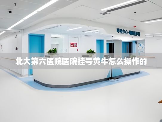 北大第六医院医院挂号黄牛怎么操作的?“科技+文化”激发文旅产业投资新活力