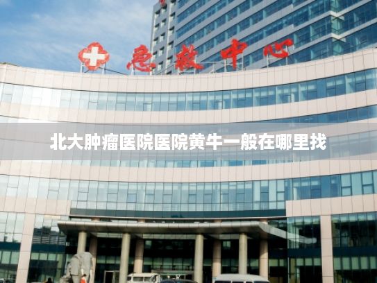 北大肿瘤医院医院黄牛一般在哪里找?希姆九州大模型完成国家备案 聚焦政企高质量数智化转型