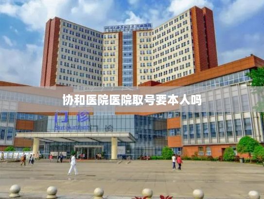 协和医院医院取号要本人吗?黑芝麻智能经营亏损扩大至17.54亿元