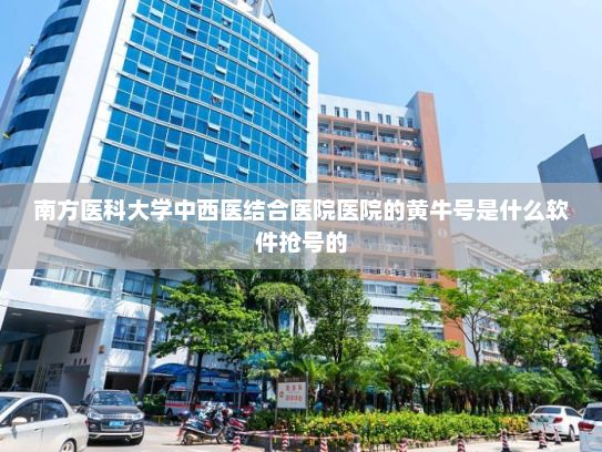 南方医科大学中西医结合医院医院的黄牛号是什么软件抢号的?市场监管总局加快推进人工智能国家标准研制