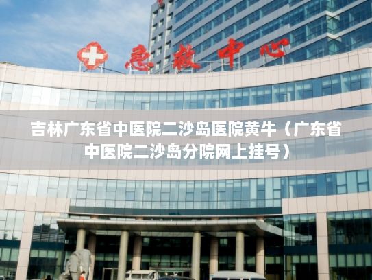 吉林广东省中医院二沙岛医院黄牛（广东省中医院二沙岛分院网上挂号）