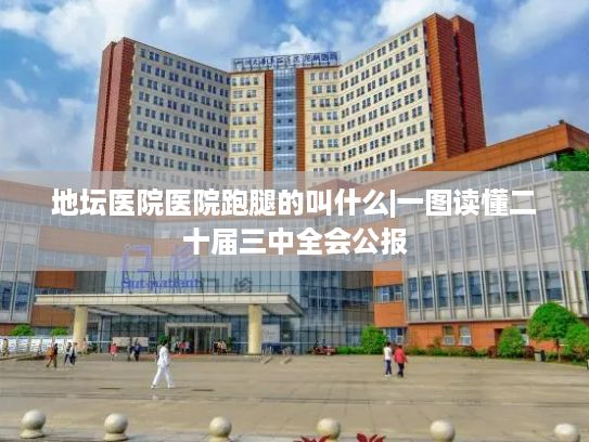 地坛医院医院跑腿的叫什么|一图读懂二十届三中全会公报