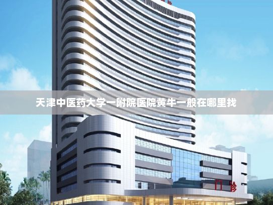 天津中医药大学一附院医院黄牛一般在哪里找?广东一季度工业机器人产量增长逾三成