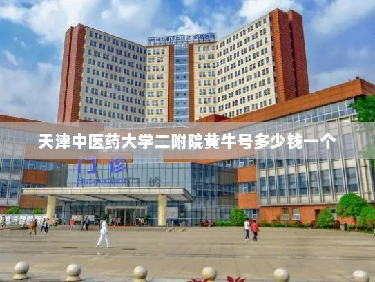 天津中医药大学二附院黄牛号多少钱一个?全方位营造良好电商生态