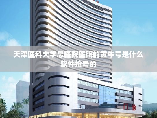 天津医科大学总医院医院的黄牛号是什么软件抢号的?欧盟将投资13亿欧元发展AI等关键技术