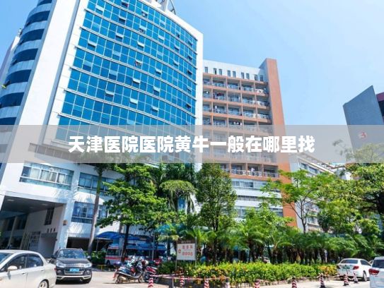 天津医院医院黄牛一般在哪里找?百度地图发布2024年中国城市交通报告：重庆位列周末出行热度高峰城市