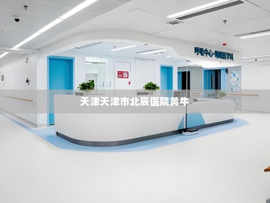 天津天津市北辰医院黄牛