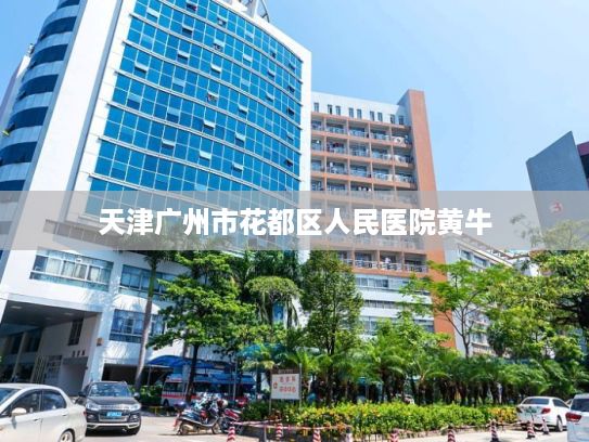 天津广州市花都区人民医院黄牛