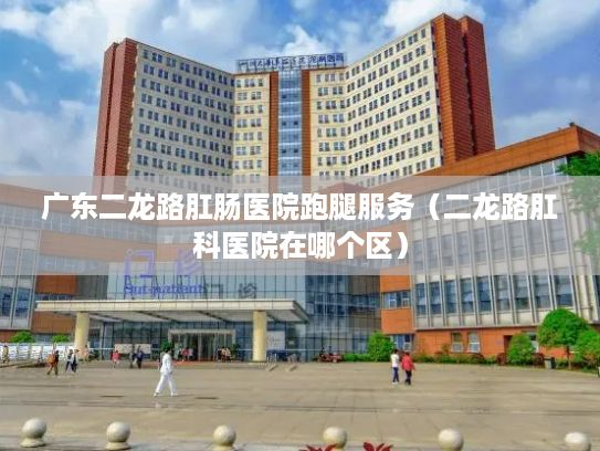 广东二龙路肛肠医院跑腿服务（二龙路肛科医院在哪个区）