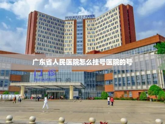 广东省人民医院怎么挂号医院的号?网络交易监管迈向标准化