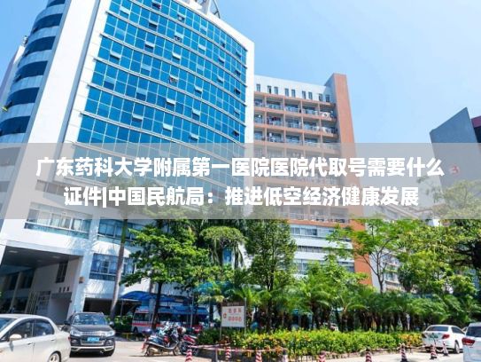 广东药科大学附属第一医院医院代取号需要什么证件|中国民航局：推进低空经济健康发展