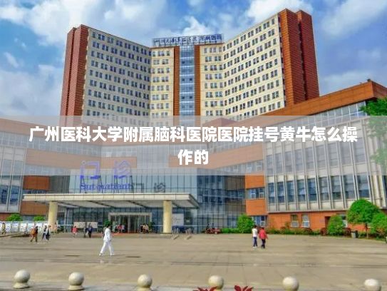 广州医科大学附属脑科医院医院挂号黄牛怎么操作的AND乌镇视窗2024年世界互联网大会乌镇峰会准备就绪，场馆新貌抢先看