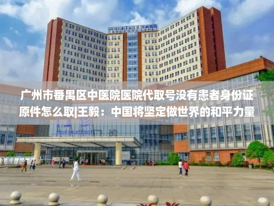 广州市番禺区中医院医院代取号没有患者身份证原件怎么取|王毅：中国将坚定做世界的和平力量、稳定力量、进步力量