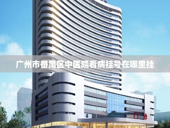 广州市番禺区中医院看病挂号在哪里挂?“3·15”涉事企业紧急道歉 道歉有用要监管干什么