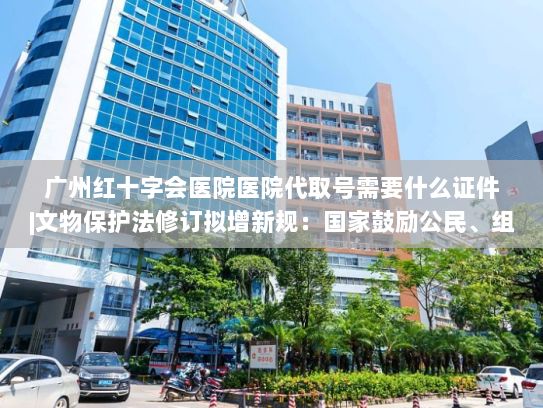 广州红十字会医院医院代取号需要什么证件|文物保护法修订拟增新规：国家鼓励公民、组织合法收藏