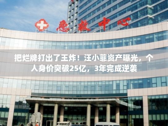 把烂牌打出了王炸！汪小菲资产曝光，个人身价突破25亿，3年完成逆袭