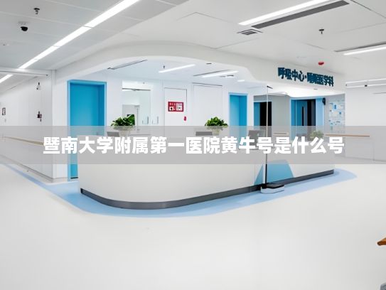 暨南大学附属第一医院黄牛号是什么号?领益智造：全面发力机器人、低空经济等增长曲线