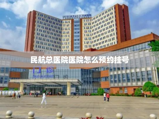 民航总医院医院怎么预约挂号?国家数据局：推动公共数据开发利用政策加快落地