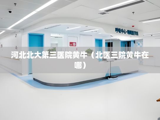河北北大第三医院黄牛（北医三院黄牛在哪）