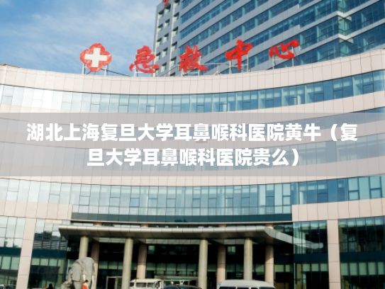 湖北上海复旦大学耳鼻喉科医院黄牛（复旦大学耳鼻喉科医院贵么）