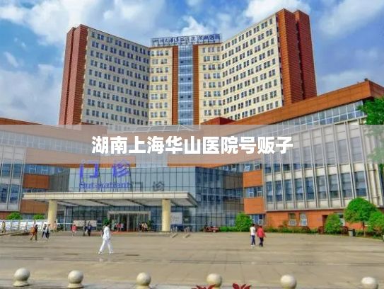 湖南上海华山医院号贩子