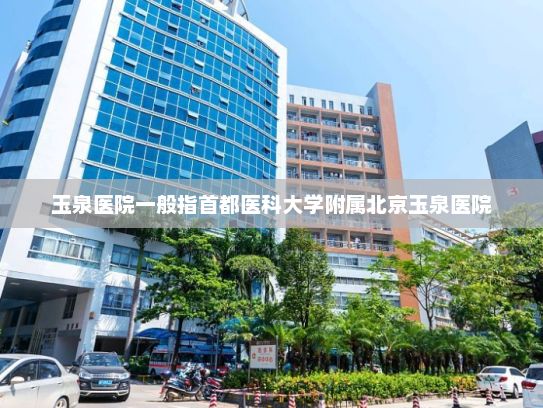 玉泉医院一般指首都医科大学附属北京玉泉医院，这是一所集医疗、教学、科研、预防、康复为一体的三级甲等中西医结合医院