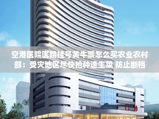 空港医院医院挂号黄牛票怎么买农业农村部：受灾地区尽快抢种速生菜 防止断档脱销