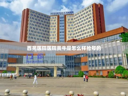 西苑医院医院黄牛是怎么样抢号的?市场监管总局连夜部署全面彻查3·15晚会曝光的市场监管领域违法行为