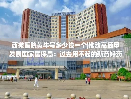 西苑医院黄牛号多少钱一个|推动高质量发展国家医保局：过去用不起的新药好药相继纳入目录