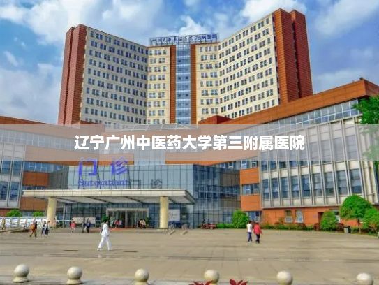 辽宁广州中医药大学第三附属医院