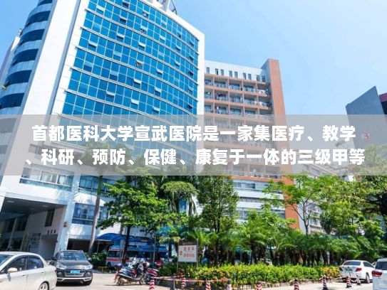 首都医科大学宣武医院是一家集医疗、教学、科研、预防、保健、康复于一体的三级甲等综合医院，也是北京市医保定点医院