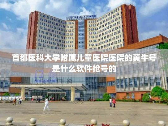 首都医科大学附属儿童医院医院的黄牛号是什么软件抢号的?2025中关村论坛年会落幕 19项重大成果集中发布