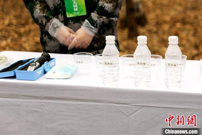 黑龙江：今年预计采集20万吨桦树汁 带动林区增收超4亿元